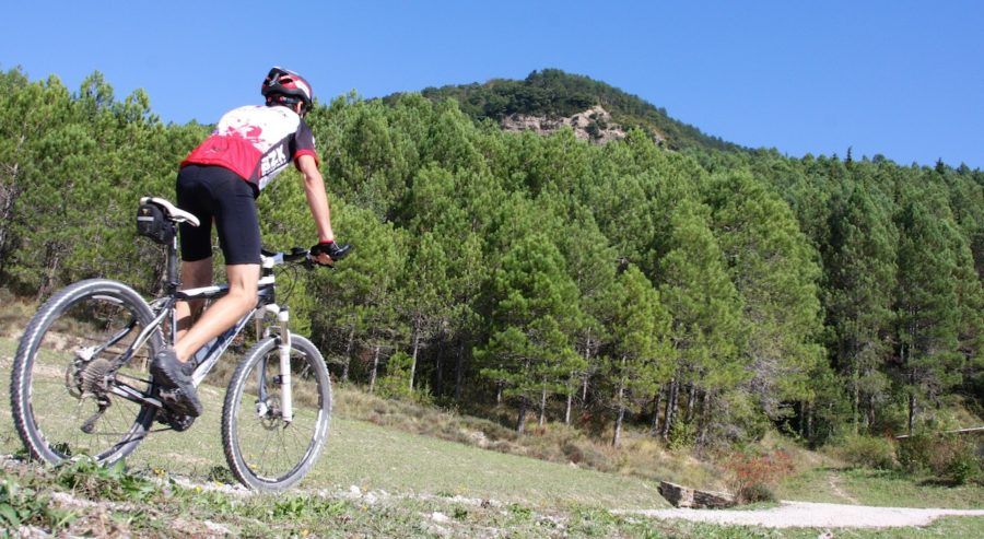 Equipación de ciclismo Sublimada – BZK Sport – Ropa deportiva, casual, sportwear, trabajo